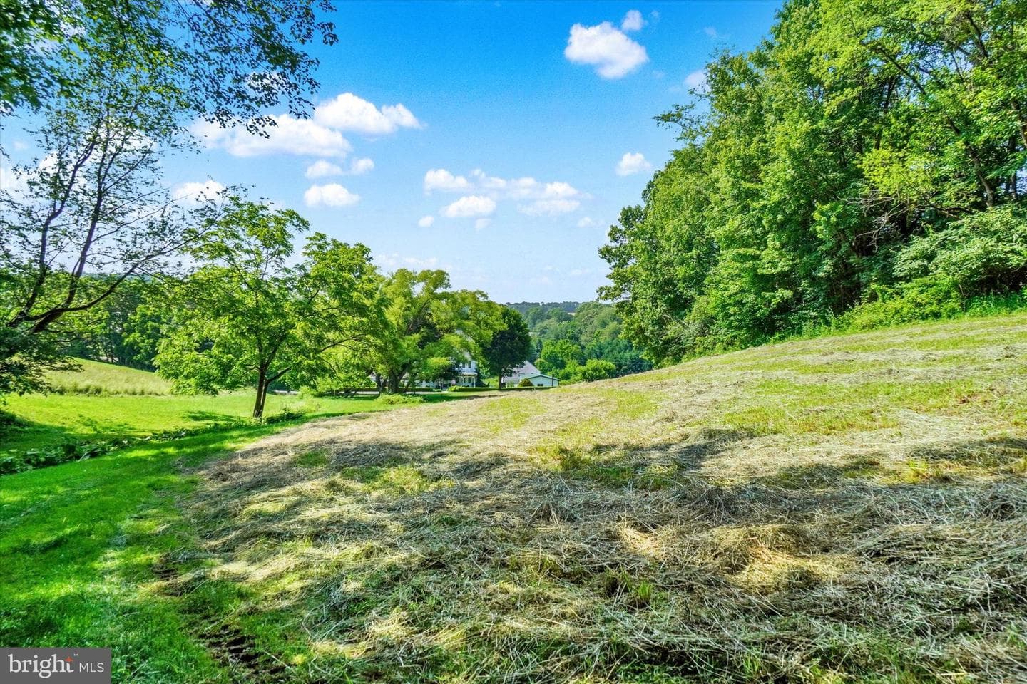 4299 Krebs Road photo 72