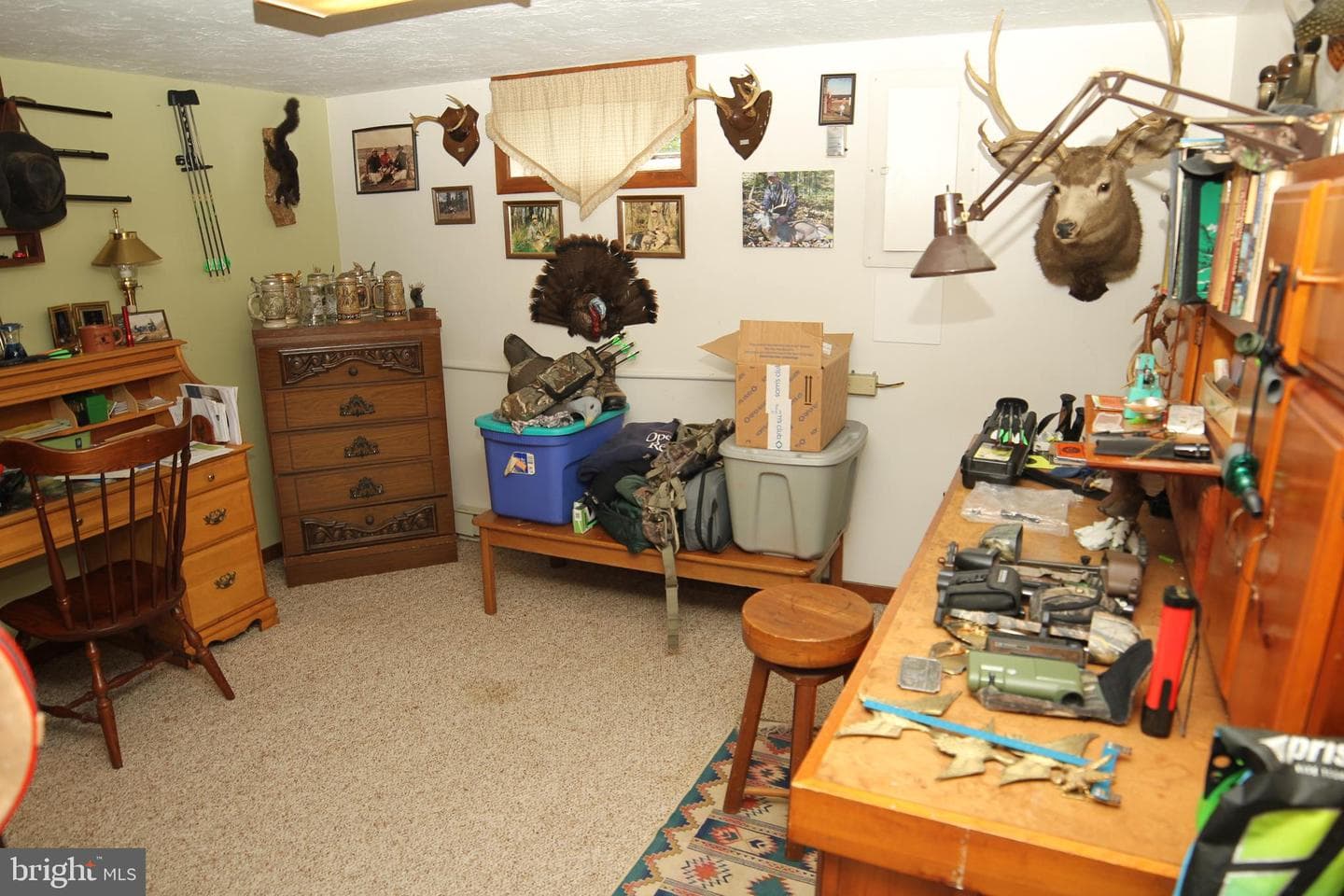 2718 Furnace Road photo 49