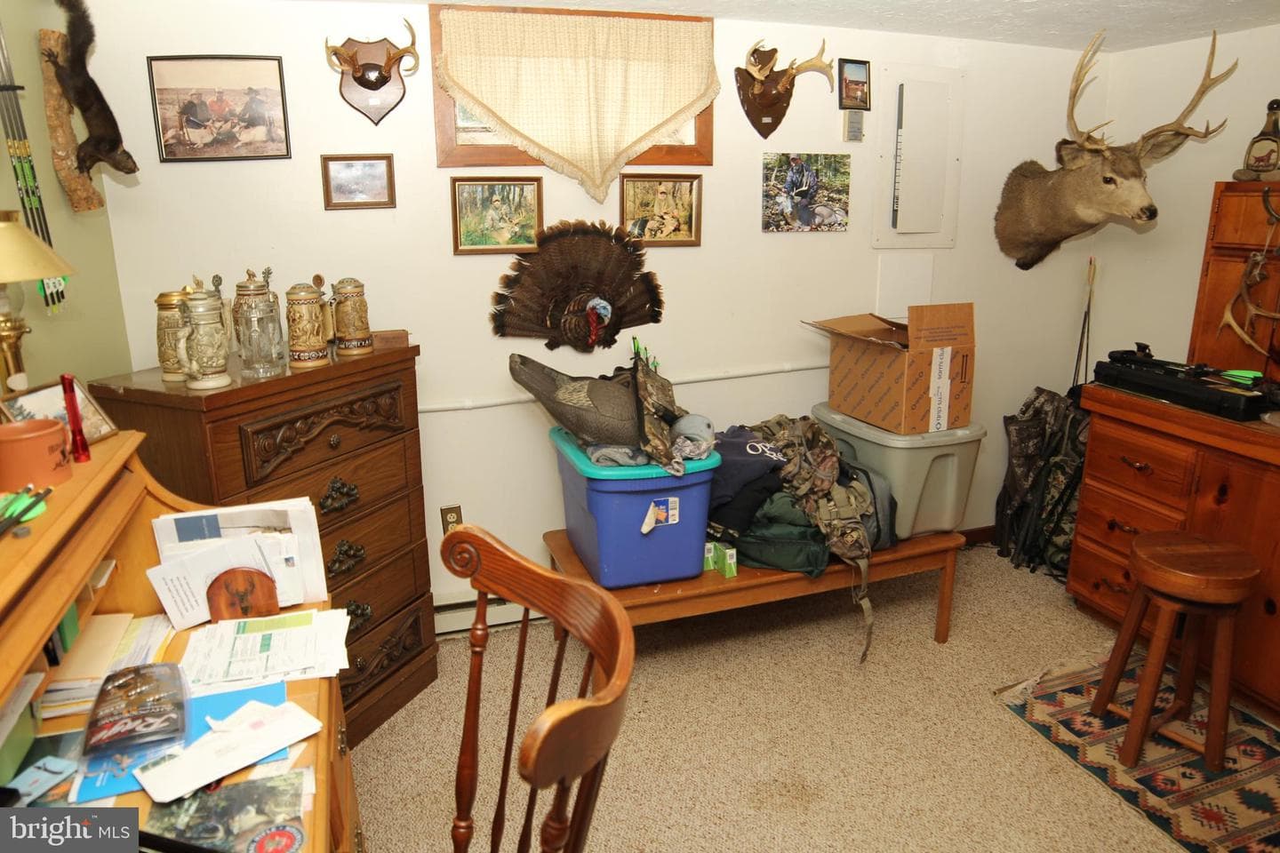 2718 Furnace Road photo 50