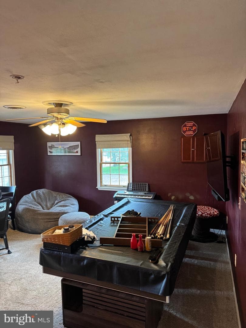 1872 Yingling Drive photo 39