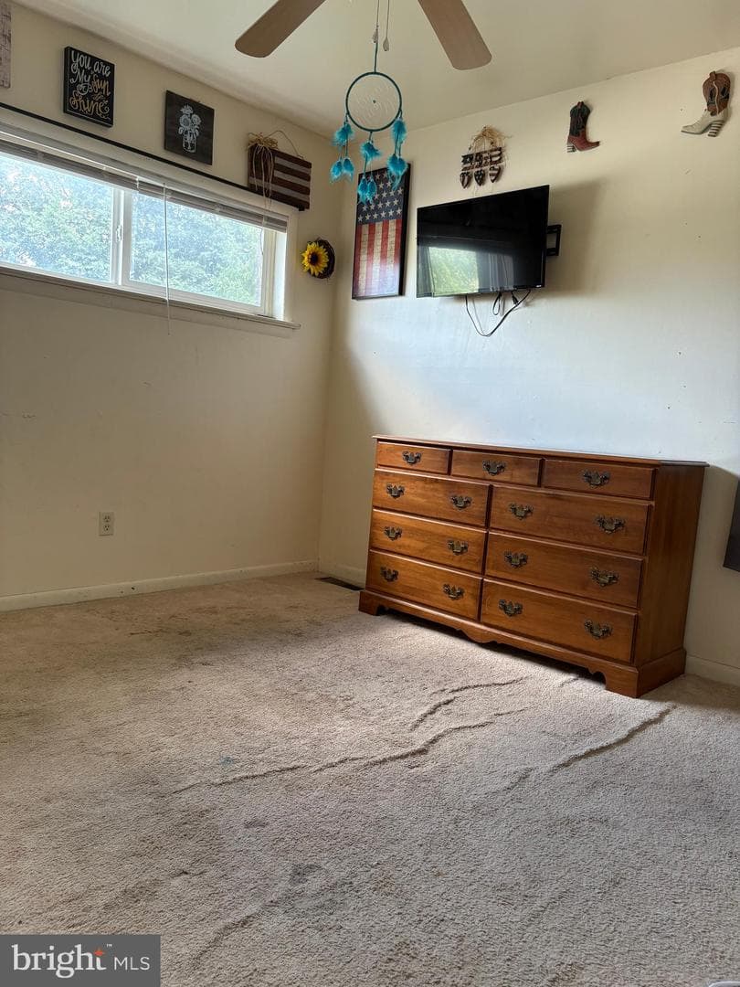 3115 Equinox Road photo 19