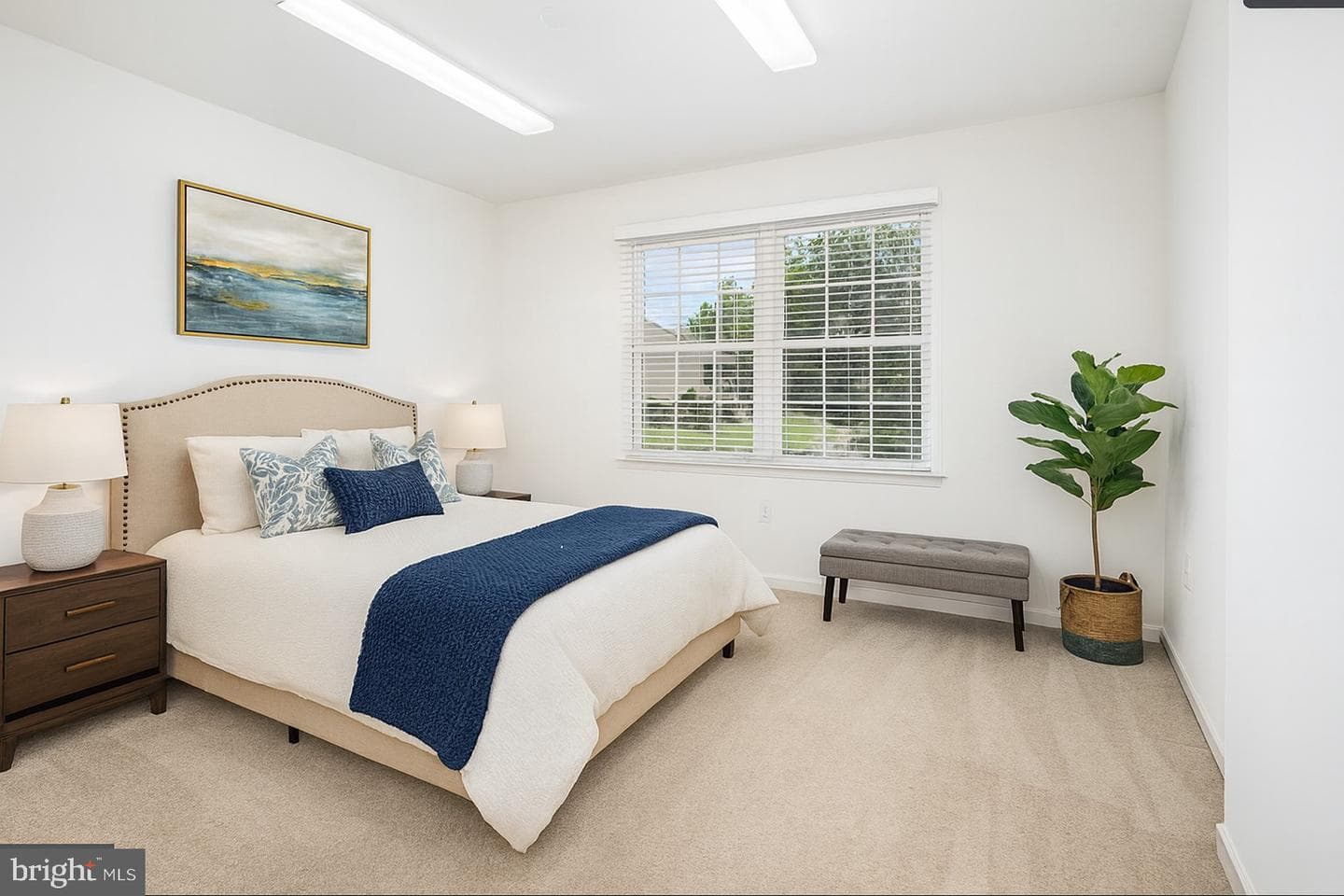 244 Red Haven Road photo 22