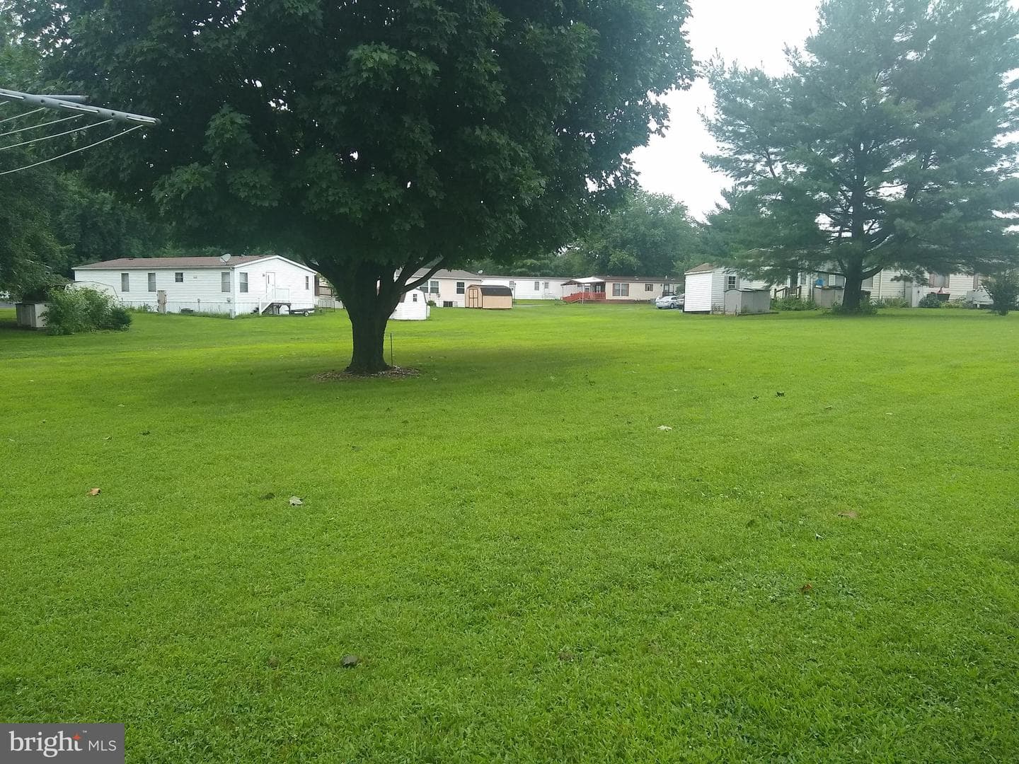 109 Honey Locust Circle photo 11