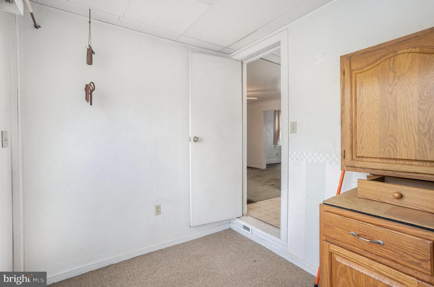 1135 Mount Rose Avenue photo 20