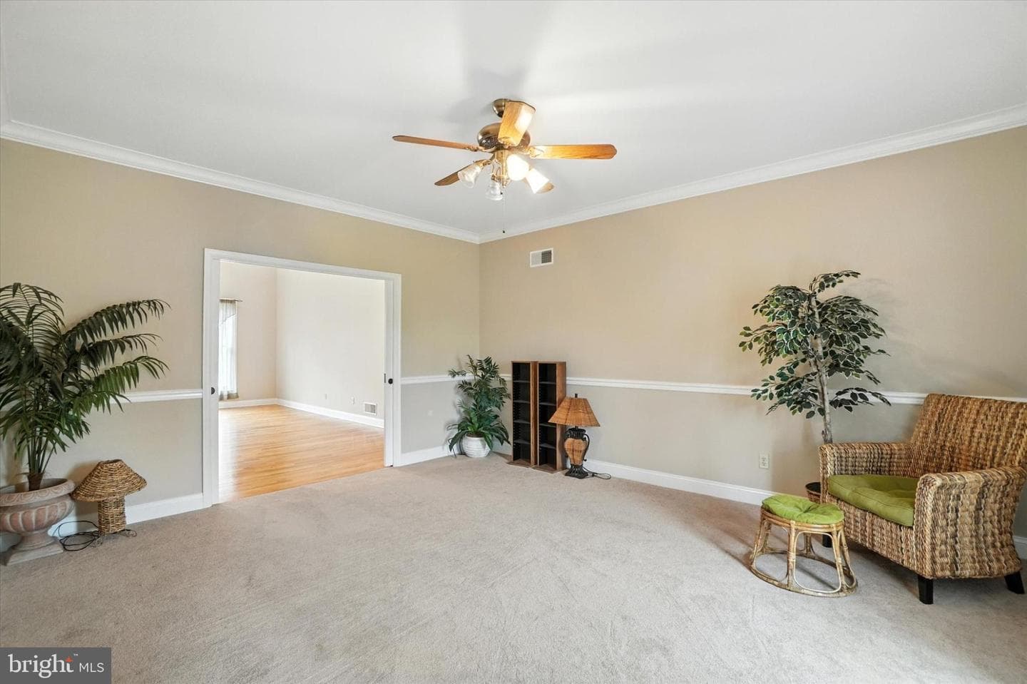 160 Vida Lane photo 14