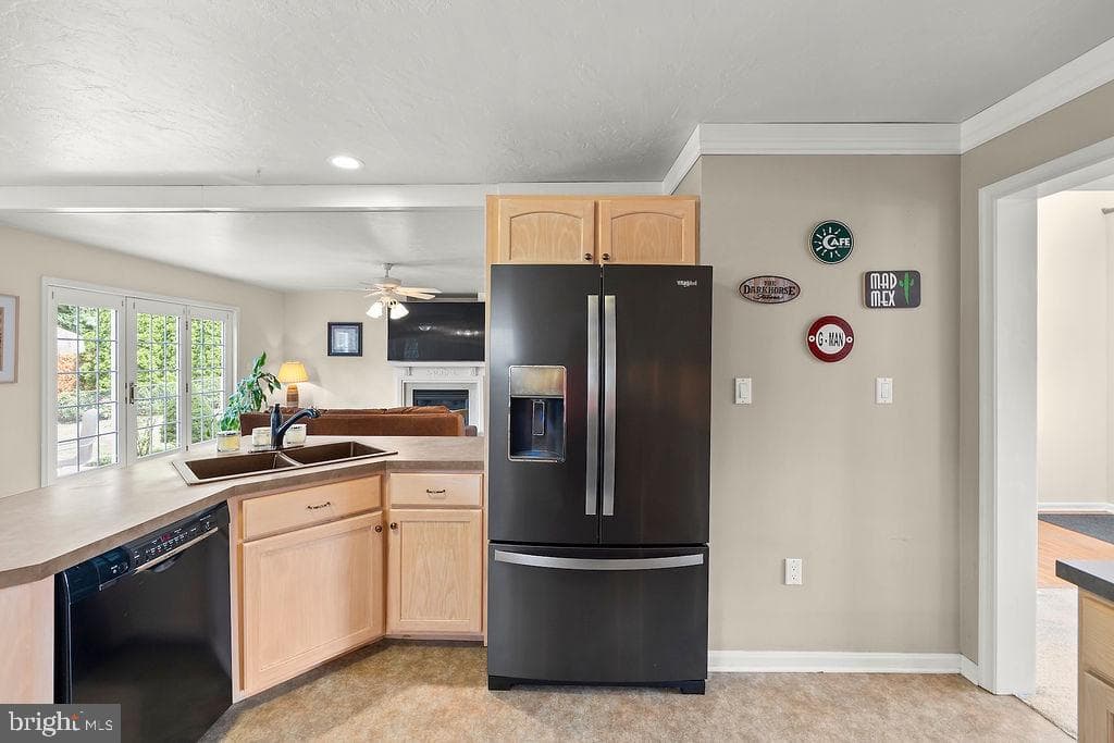 376 Wilson Avenue photo 35