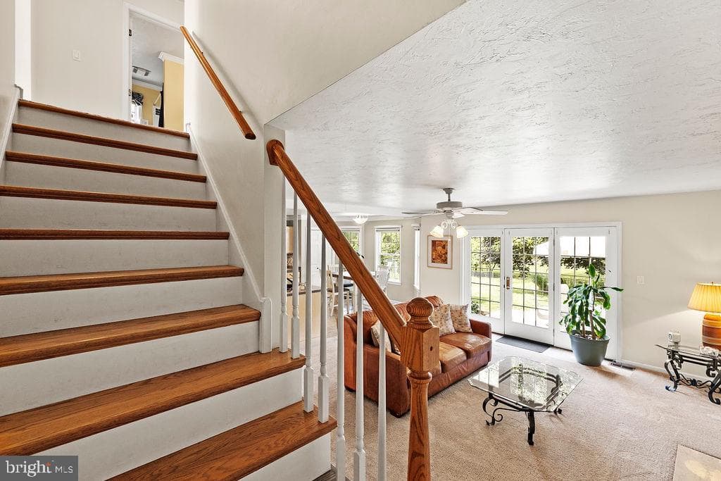 376 Wilson Avenue photo 39