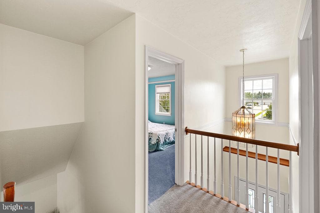 376 Wilson Avenue photo 40