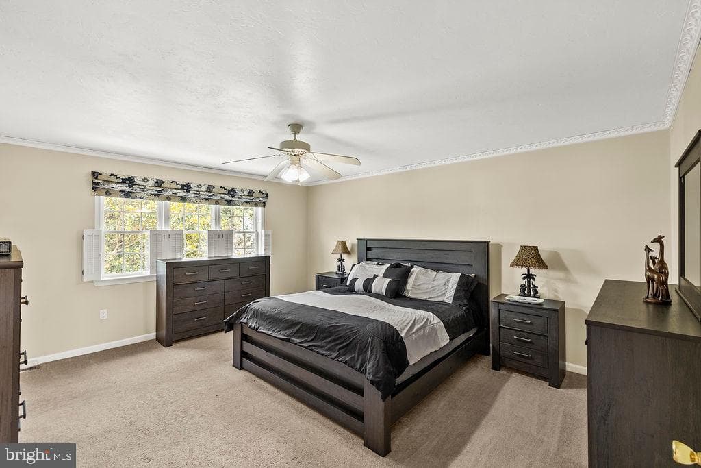 376 Wilson Avenue photo 42