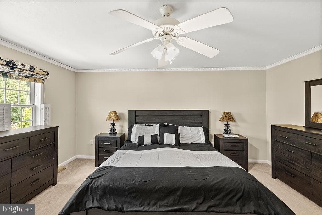 376 Wilson Avenue photo 43