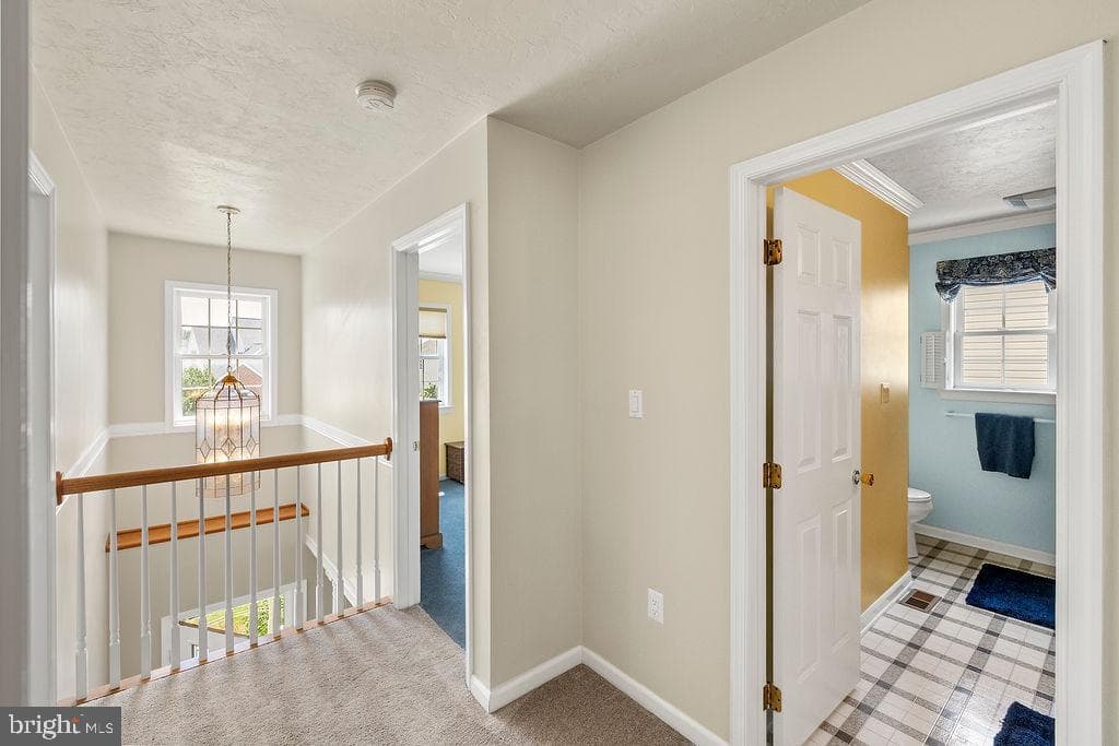 376 Wilson Avenue photo 53