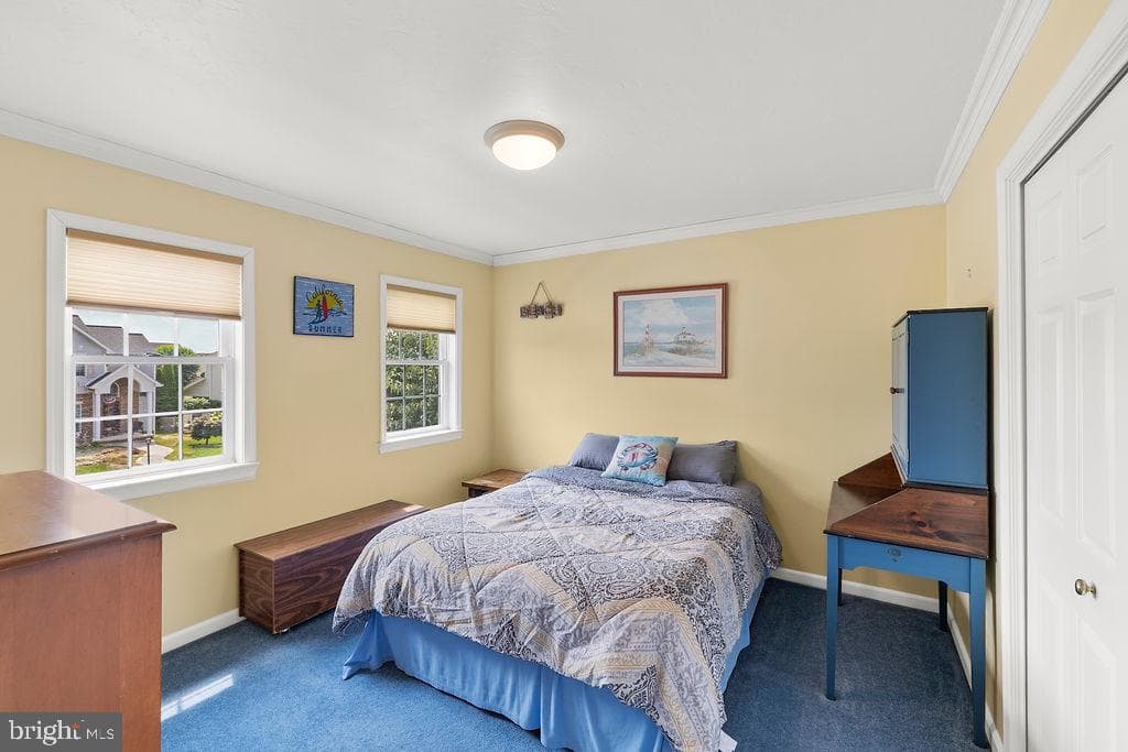 376 Wilson Avenue photo 58