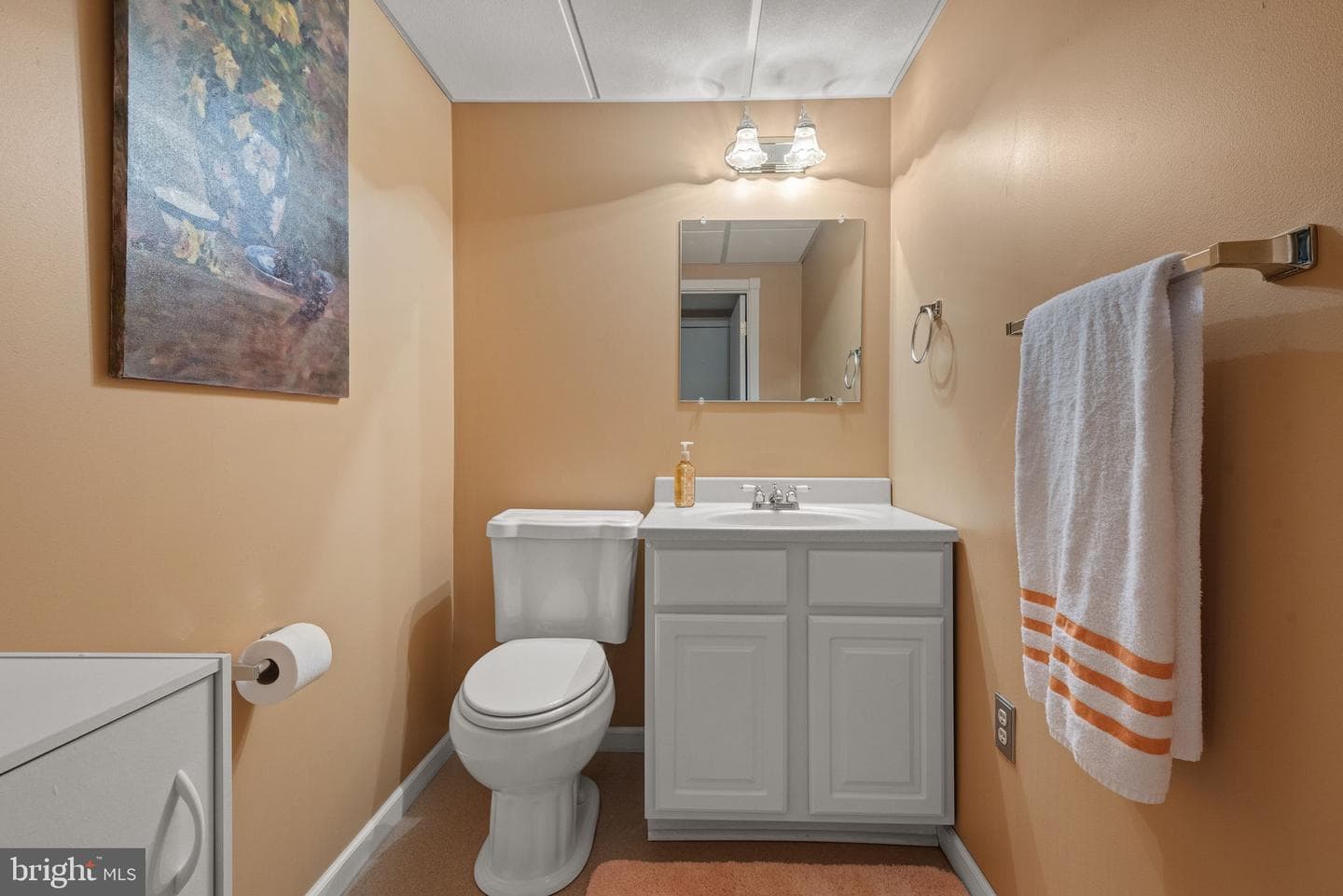 317 Brook Lane photo 24