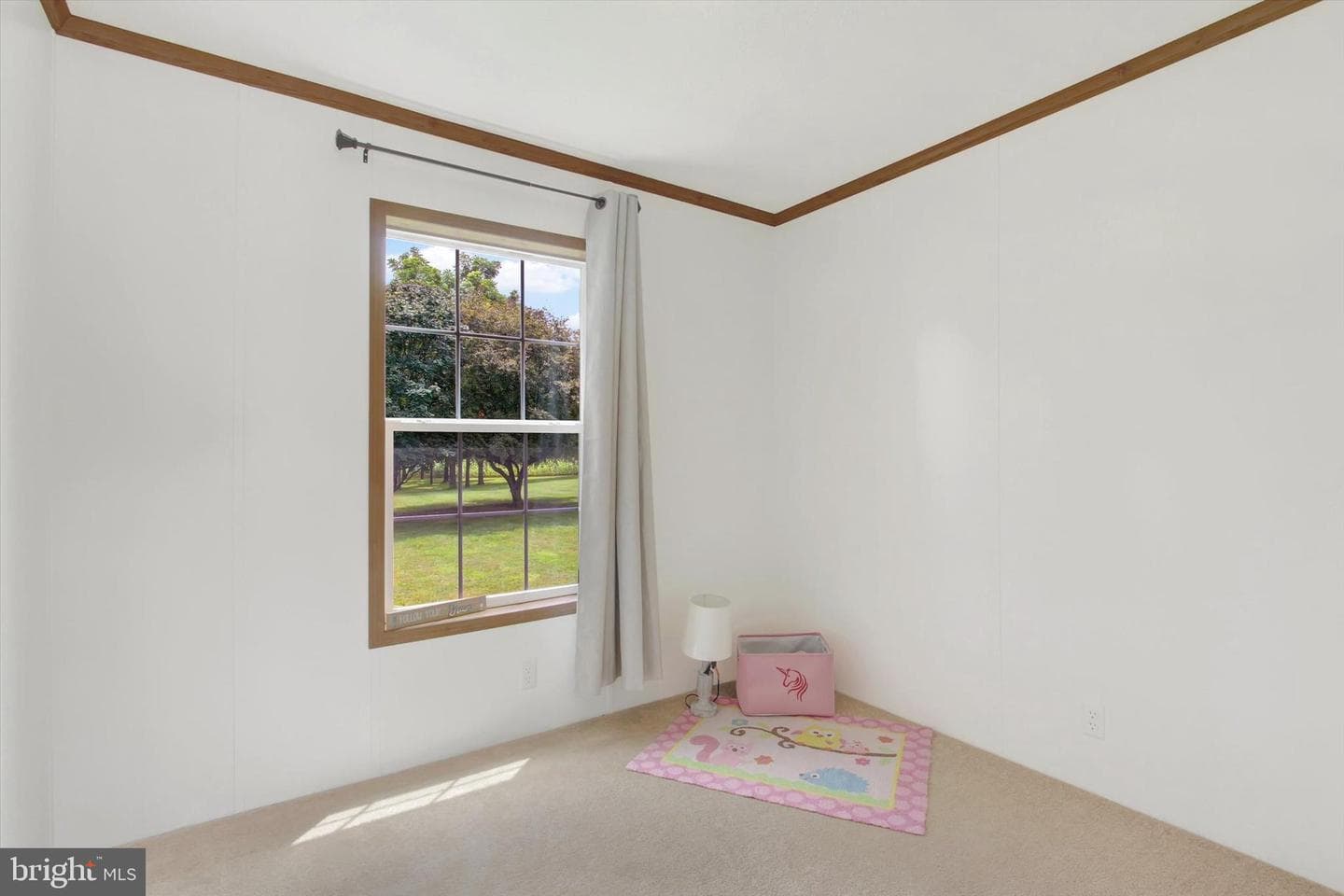 3898 Green Valley Road photo 21