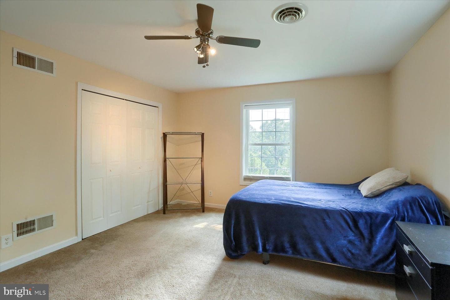 19 York Road photo 25