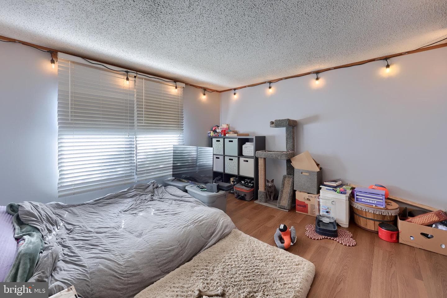 75 Wilson Road photo 20