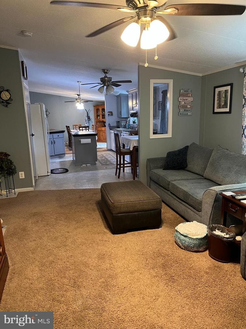 740 Butter Road photo 20