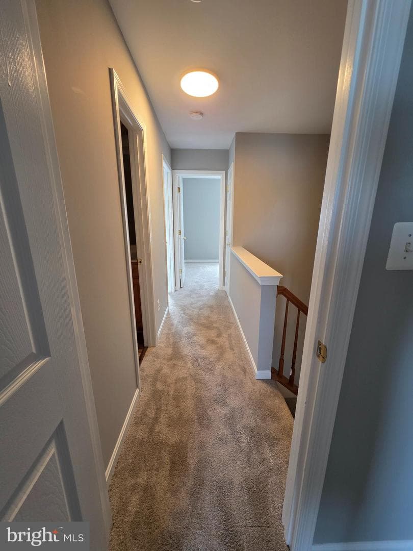 3792 Cannon Lane photo 13