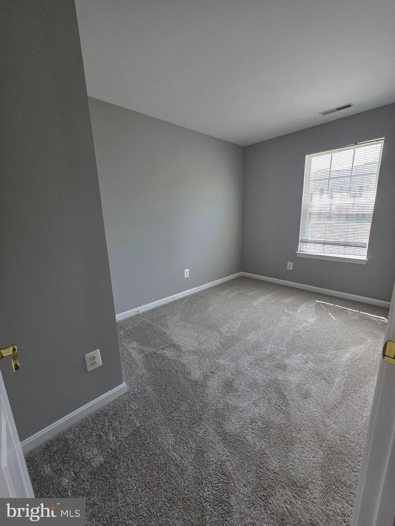 3792 Cannon Lane photo 20