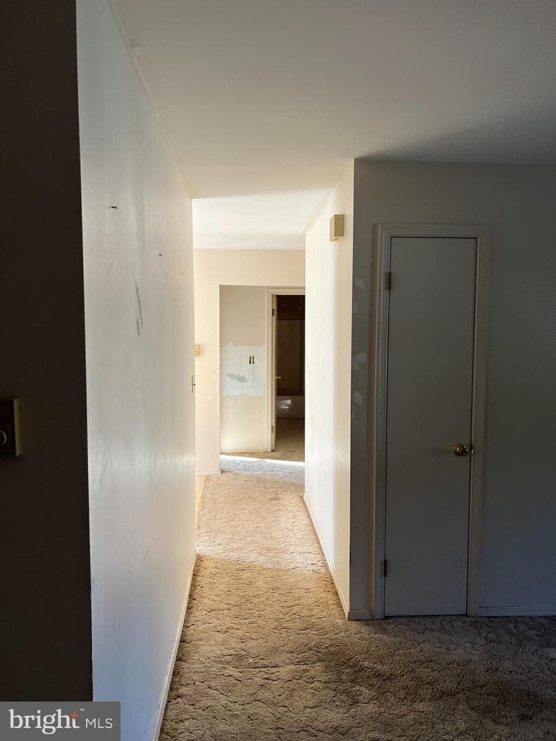 104 Furman Road photo 2