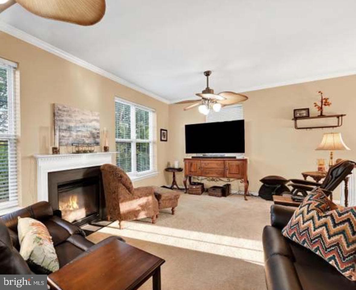 427 Marion Road #427 photo 16