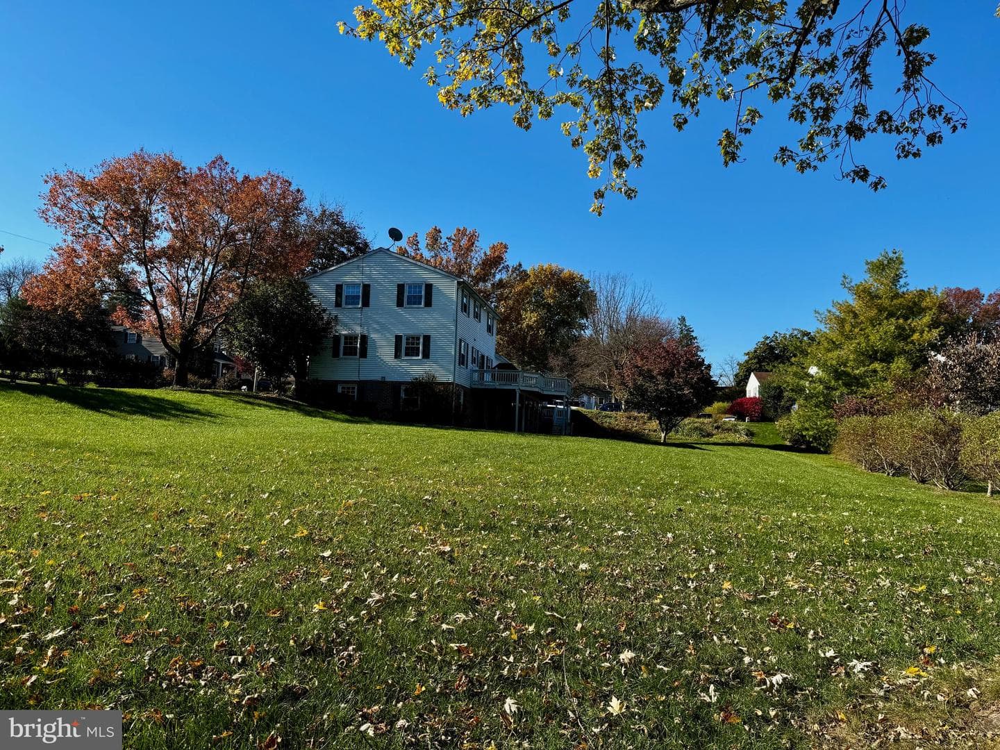 167 Walter Road photo 59
