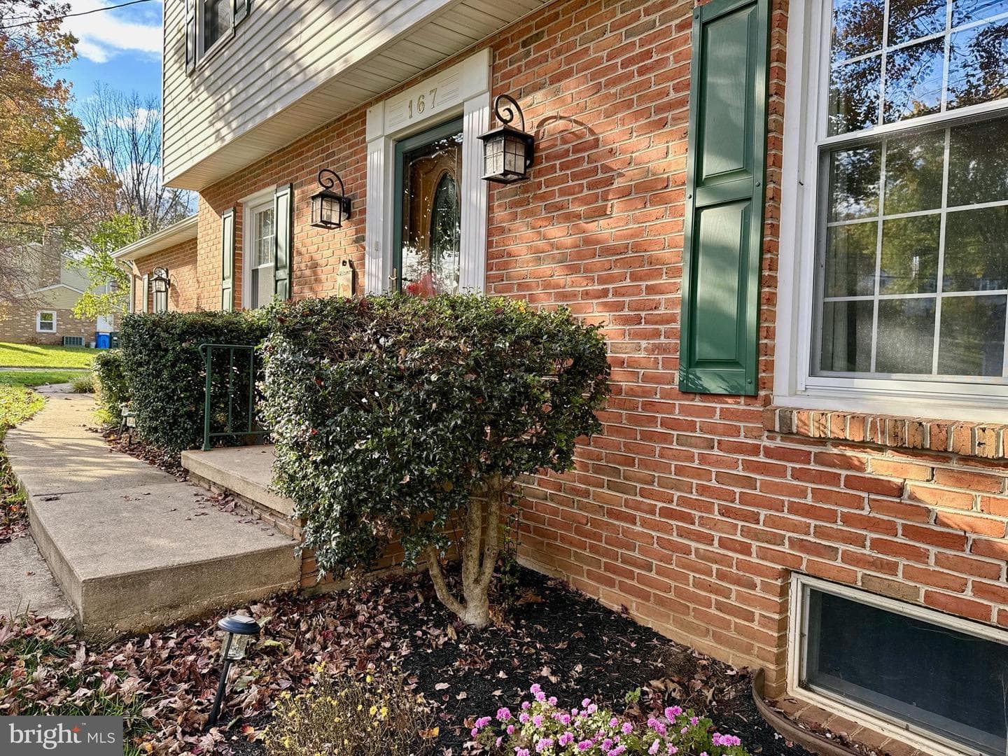 167 Walter Road photo 60