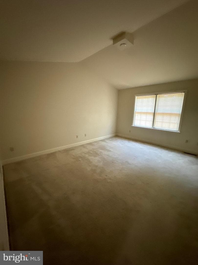 142 Scully Place photo 8