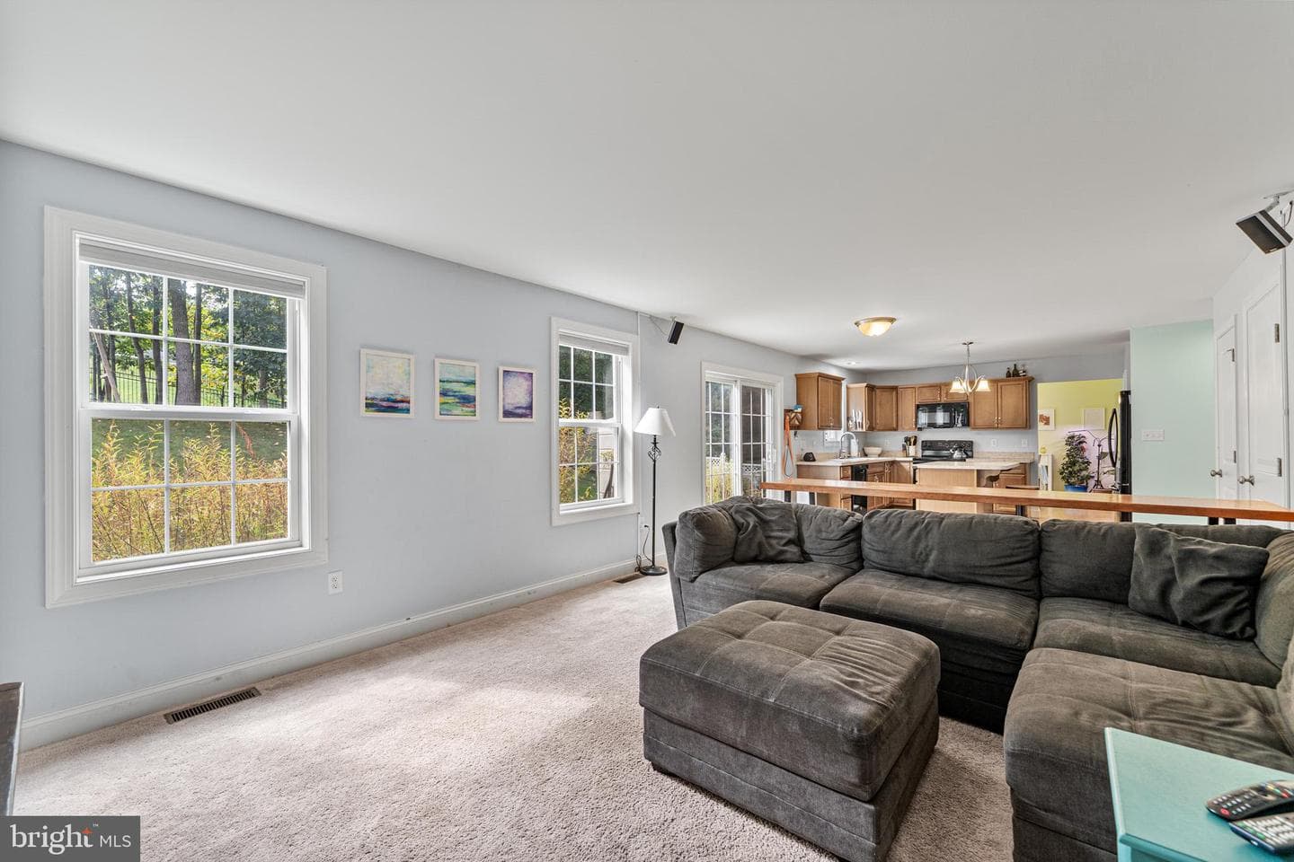15 Winterberry Lane photo 15