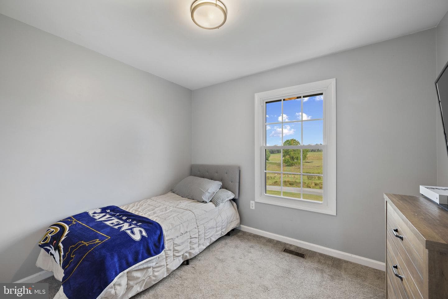 420 Shorbs Hill Road photo 17