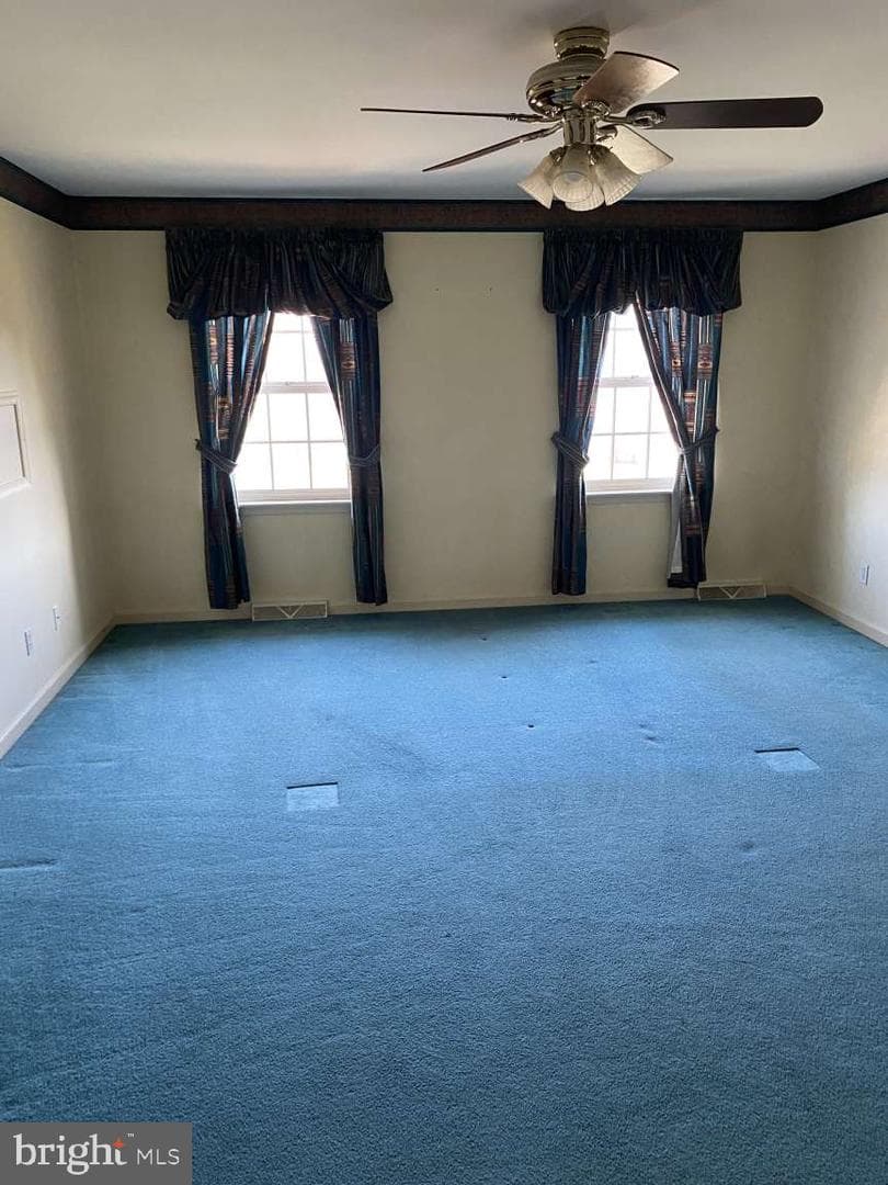 1837 Downing Street photo 15