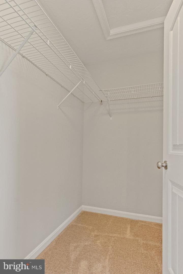 437 Bradford Drive #186 photo 33
