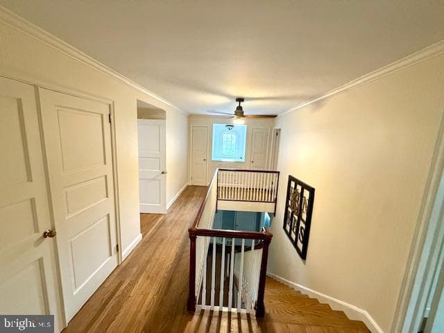117 S 8th Street photo 41