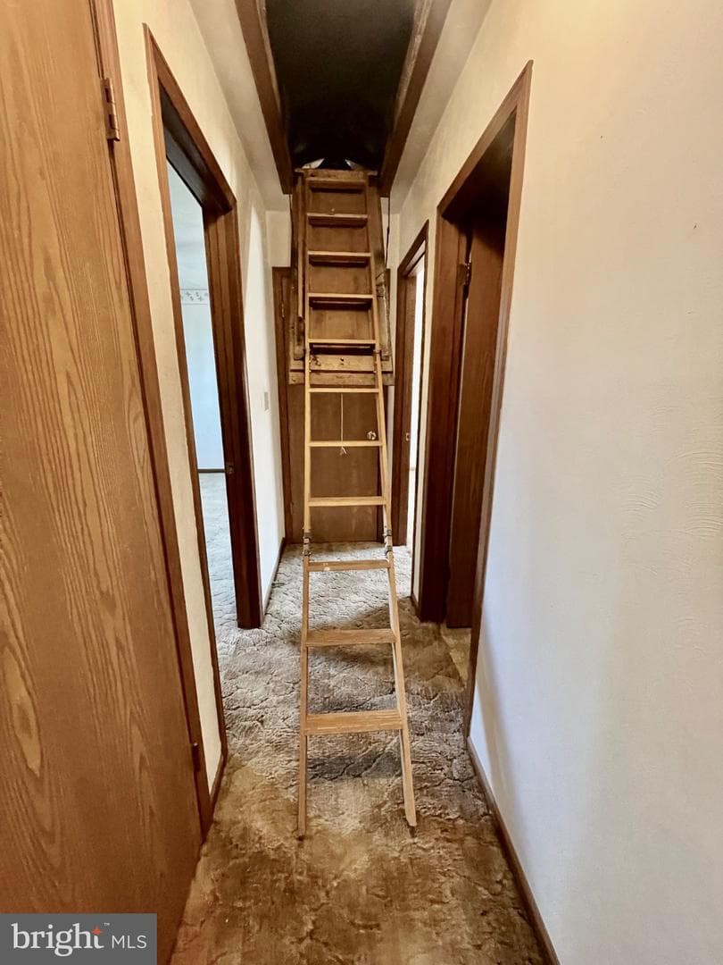42 Highview Drive photo 18