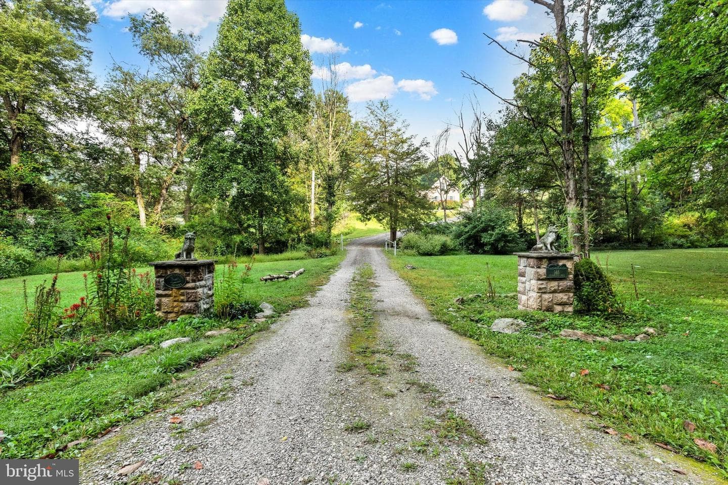 146 Richardson Road photo 2