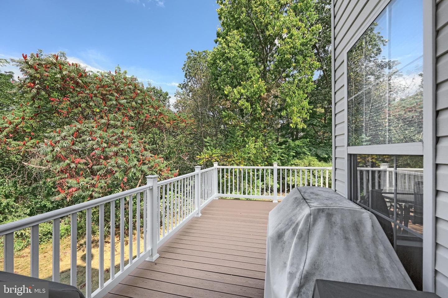 120 Bruaw Drive photo 34
