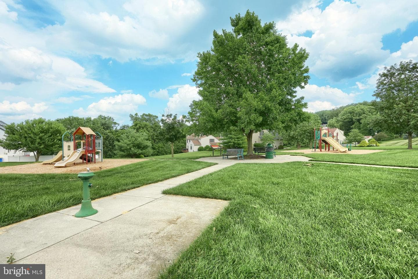 4220 Peach Orchard Hollow photo 47