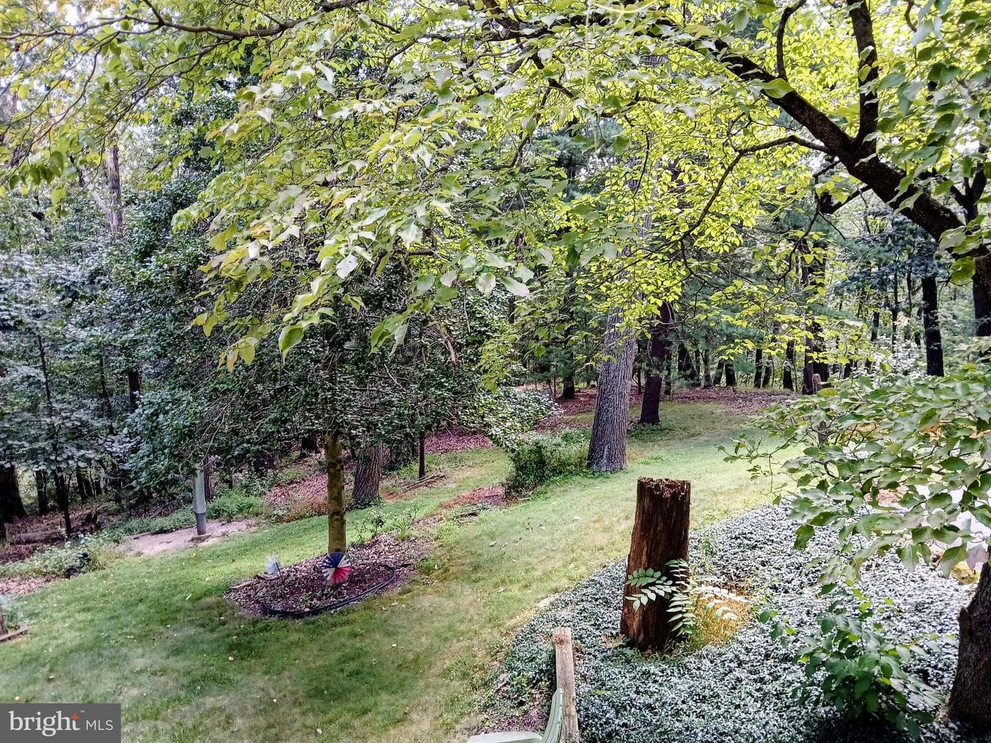 300 Holyoke Drive photo 29