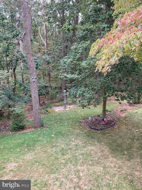 300 Holyoke Drive photo 30