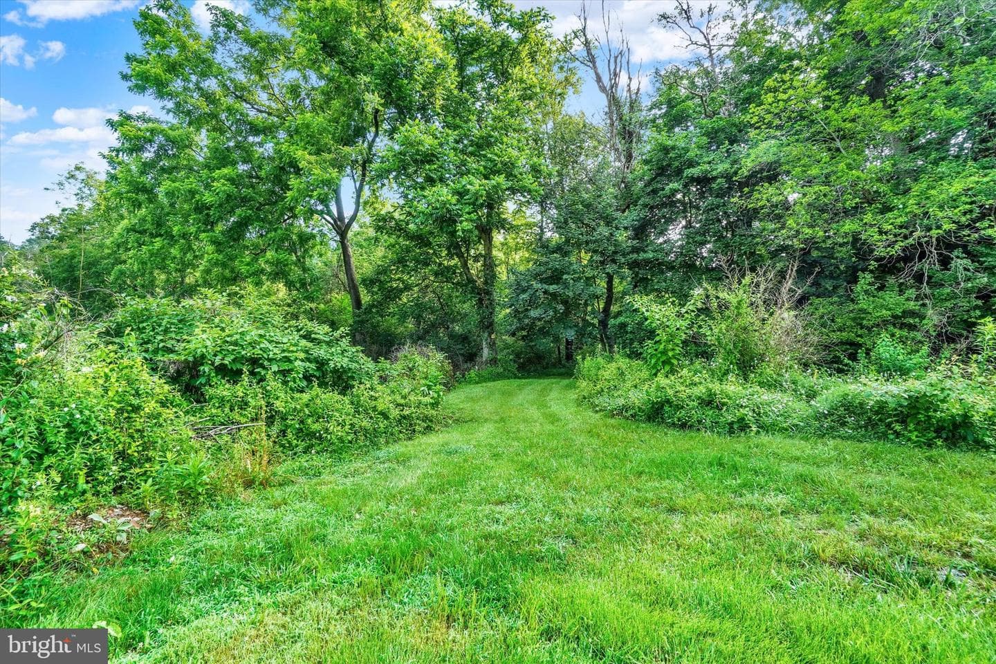 1665 Craley Road photo 48