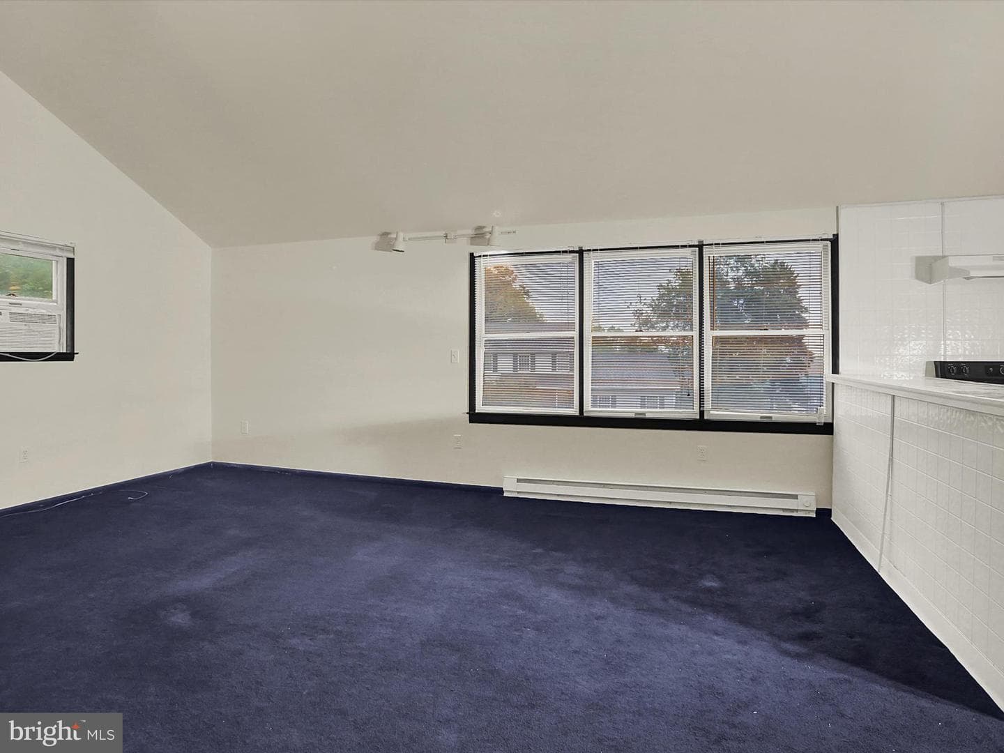 317 Hillcrest Drive photo 29