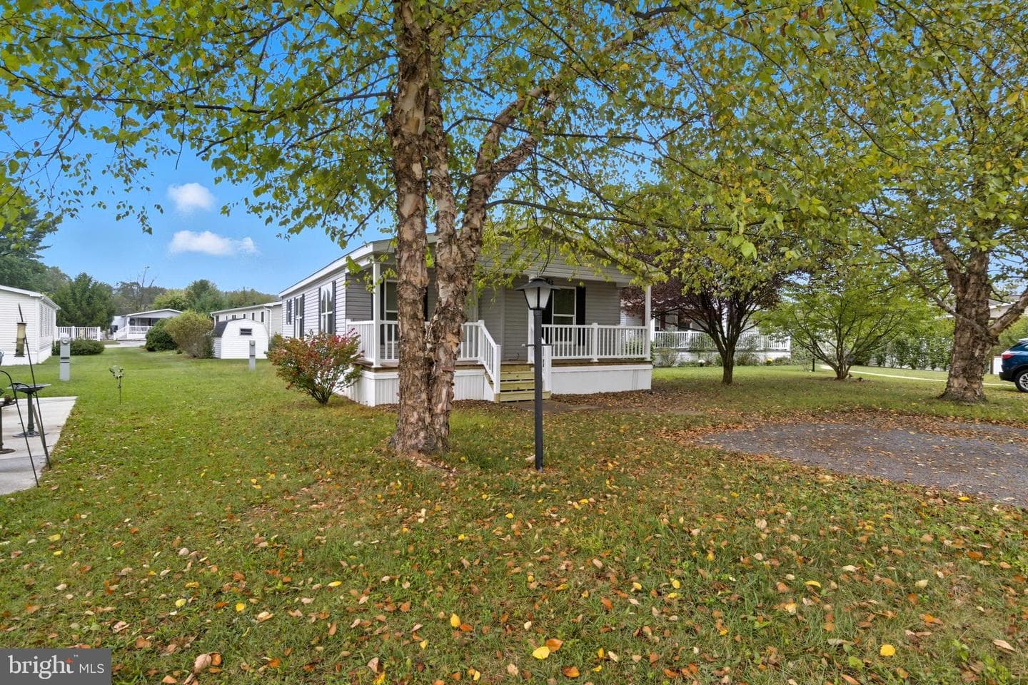 800 York Road #290 photo 3