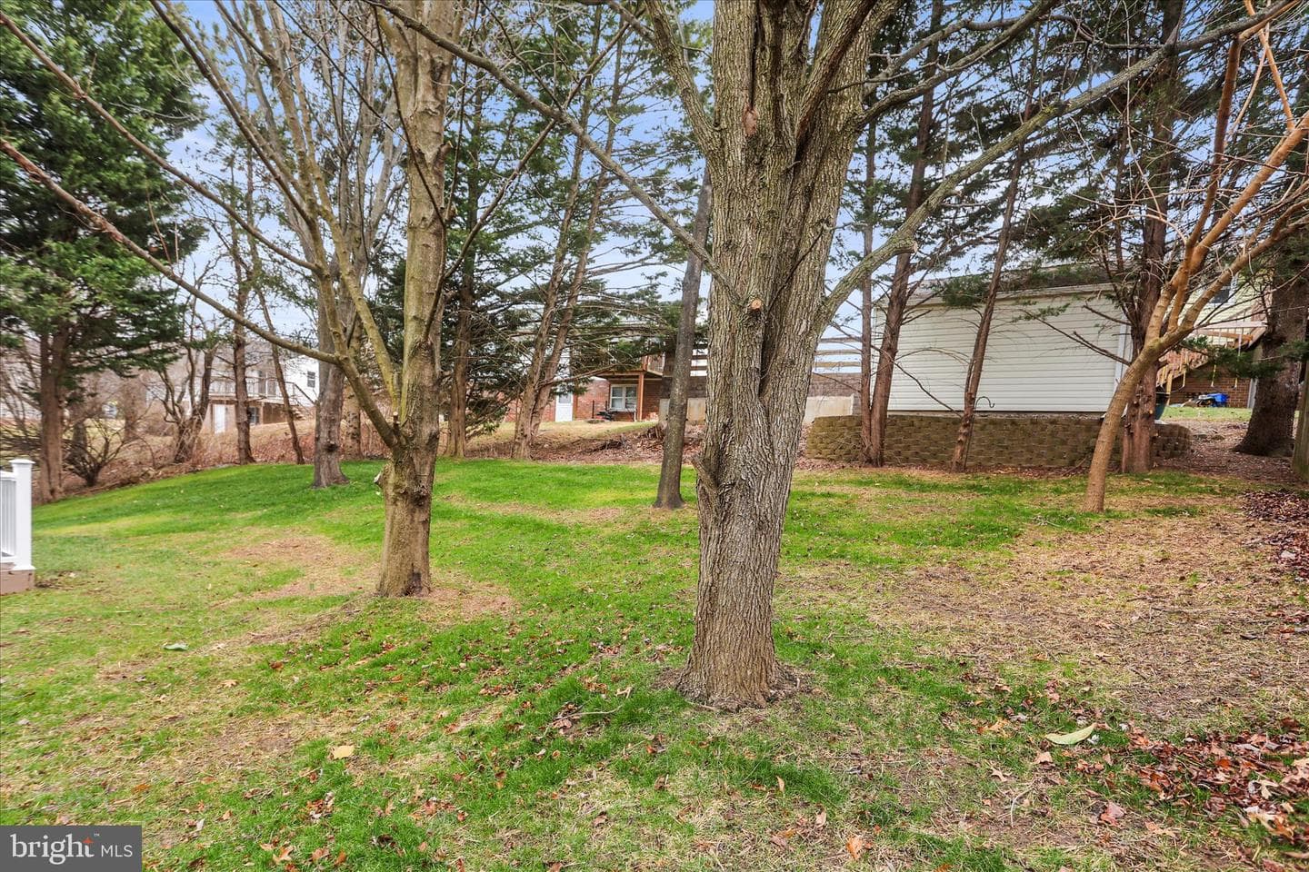 8 Magnolia Lane photo 35