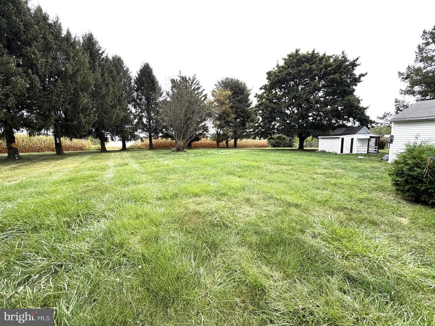 2308 Burkholder Road photo 5