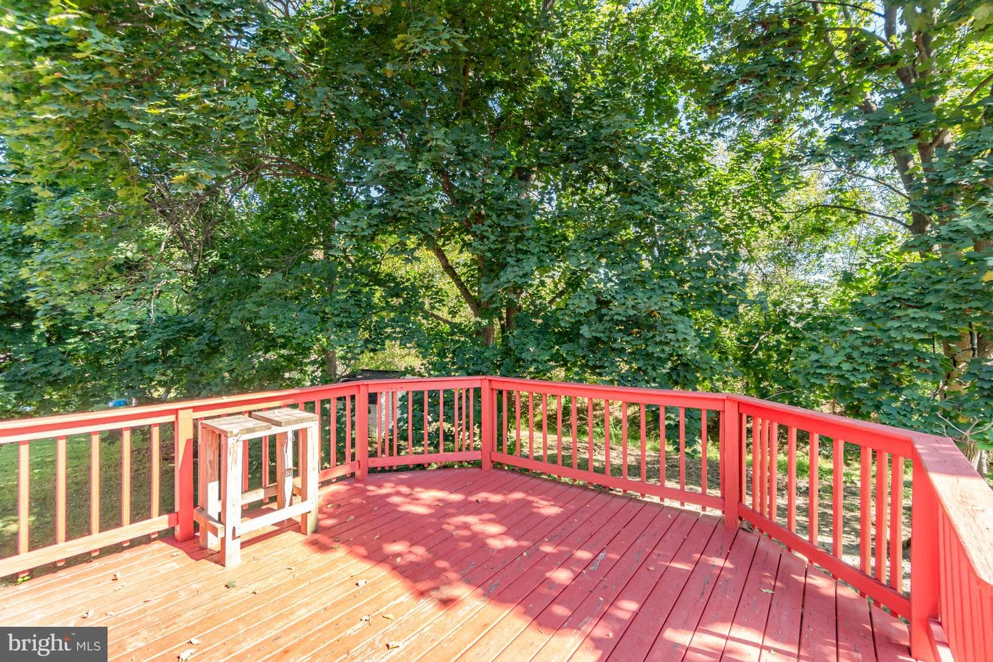 46 Wooded Run Drive photo 24