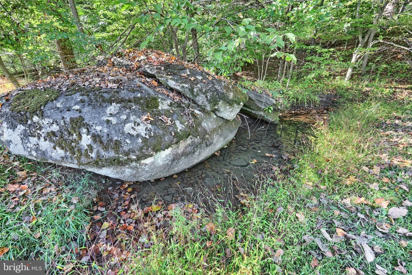 755 River Road photo 13
