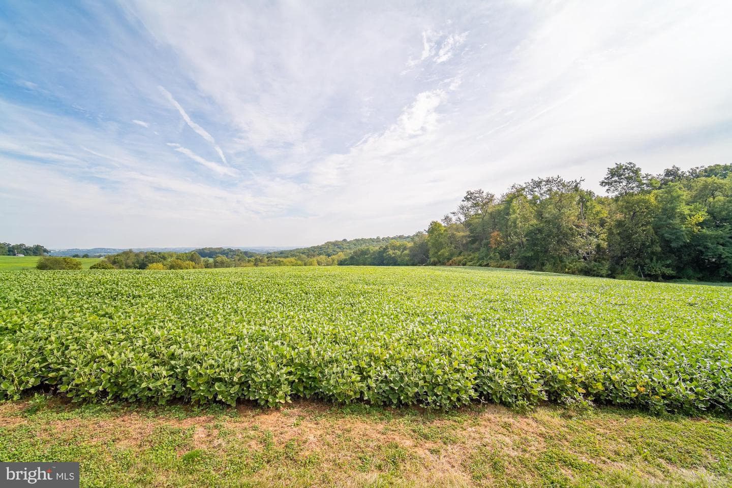 1398 Manor Road photo 34