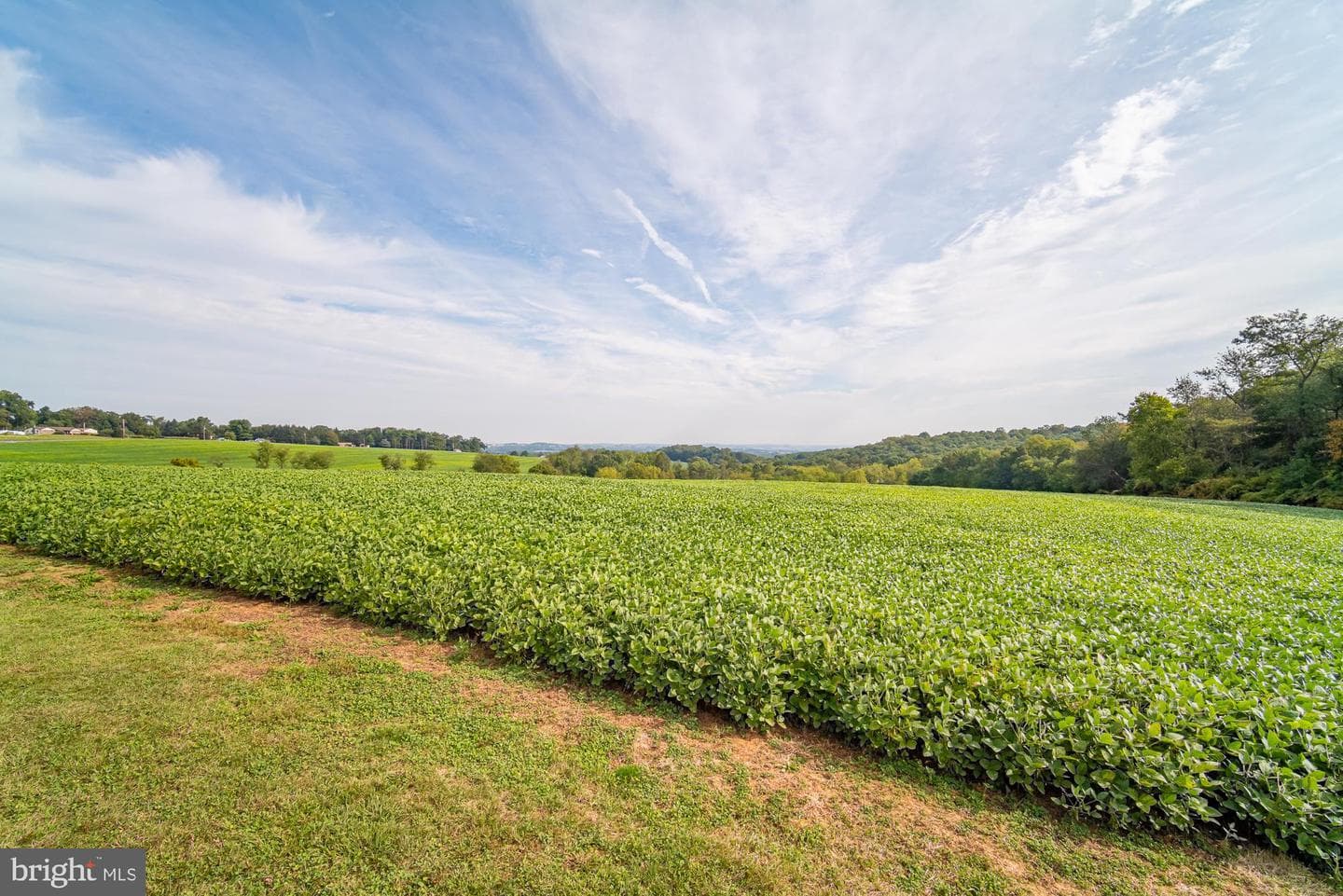 1398 Manor Road photo 5