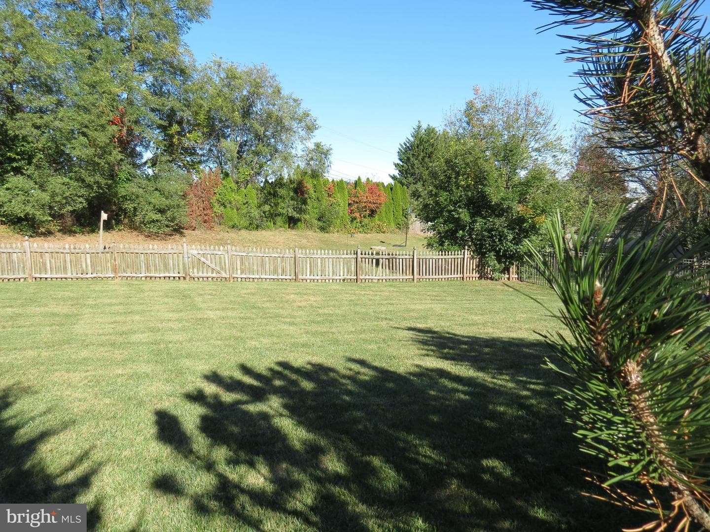 15 Crestview Court photo 4