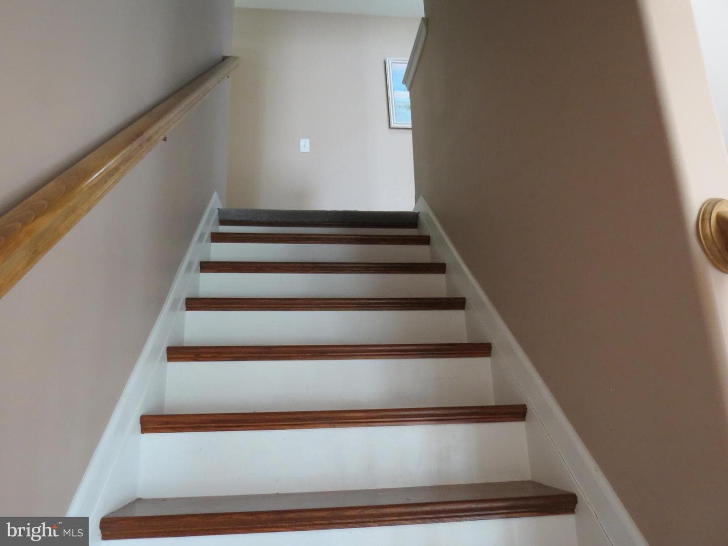 15 Crestview Court photo 45